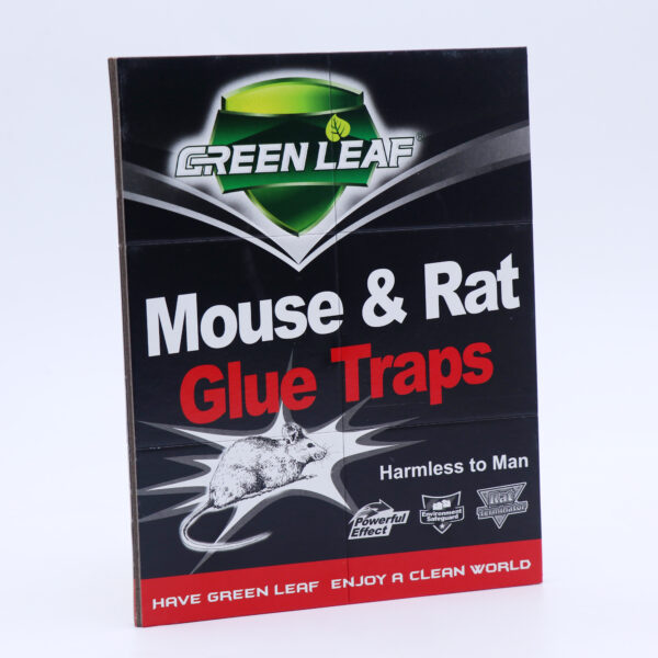 Free Shipping GREEN LEAF Mouse & Rat Glue Traps, Super Strong Sticky Rat Board, Non-toxic Odorless Rodent Trap for Indoor Pest Control